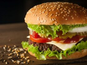 beef and cheese burger